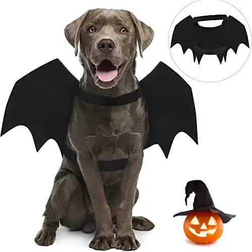 Hundekostüm CEASELESLY Haustier Fledermausflügel, Halloween