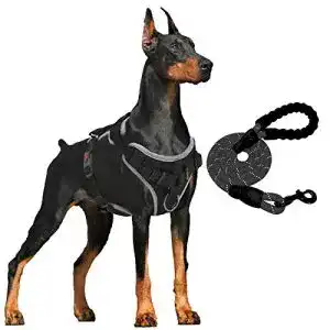 Y-Geschirr Hund Supet Hundegeschirr Anti Zug Gepolstert