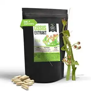 Cissus quadrangularis foodfrog EXTRAKT 120 vegan KAPSELN