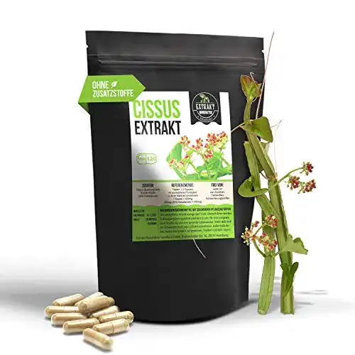 Cissus quadrangularis foodfrog EXTRAKT 120 vegan KAPSELN