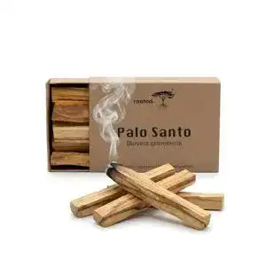 Palo Santo rooted. ® | Das Original | | Indianisches Räucherholz