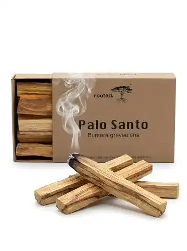 Palo Santo rooted. ® | Das Original | | Indianisches Räucherholz