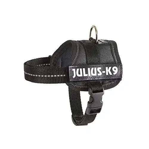 Welpengeschirr JULIUS K-9 Julius-K9, 162P-BB1, K9-Powergeschirr