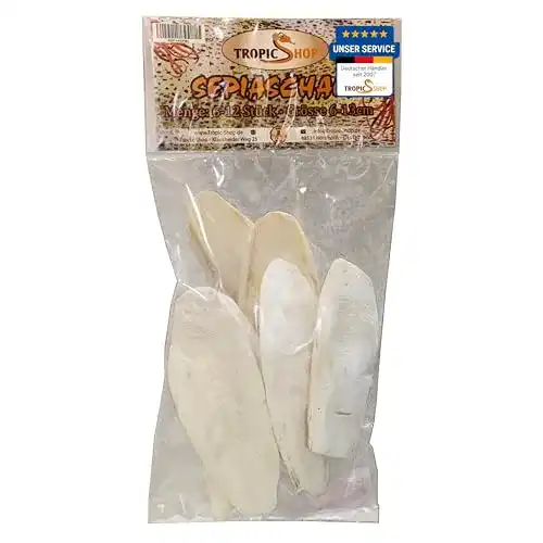 Sepiaschalen TropicShop – 100g Grösse: 6-13cm – 6-10 Stück