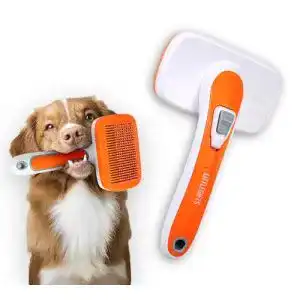 Zupfbürste Hund Little Gifts Katzenbürste Hundebürste Langhaar