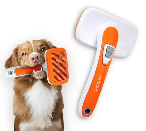 Zupfbürste Hund Little Gifts Katzenbürste Hundebürste Langhaar