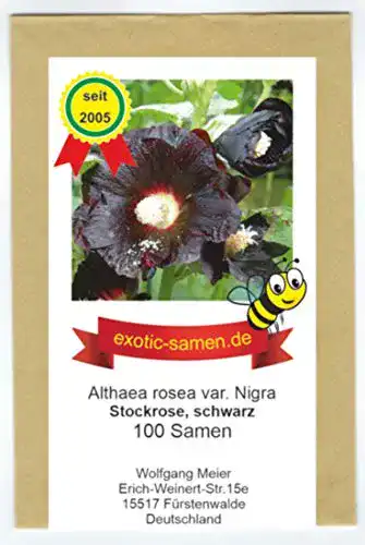 Stockrosen-Samen exotic-samen Schwarze Stockrose, 100 Samen