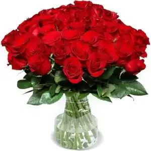 Blumenstrauß Blume Ideal XXL Rosenstrauß, 50 Rote Rosen