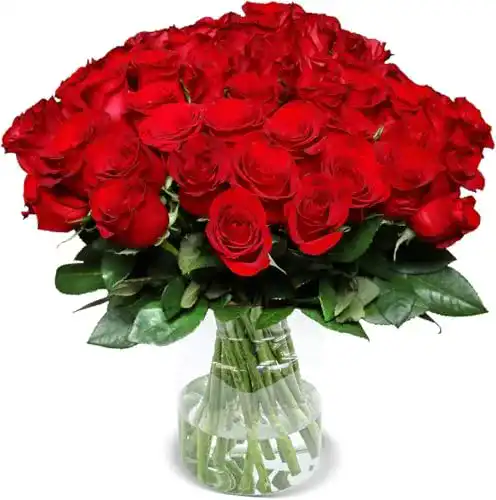 Die beste Blumenstrauß Blume Ideal XXL Rosenstrauß, 50 Rote Rosen 2026 Test Bestseller Blumenstrauß Blume Ideal XXL Rosenstrauß, 50 Rote Rosen