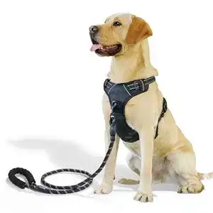 Y-Geschirr Hund Raining Pet, Anti Zug Geschirr, Schwarz L