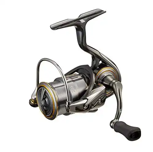 Die beste Daiwa-Rollen Daiwa 21 Luvias Airity, FC LT1000S-P - 200m/ 0,05mm 2026 Test Bestseller Daiwa-Rollen Daiwa 21 Luvias Airity, FC LT1000S-P – 200m/ 0,05mm