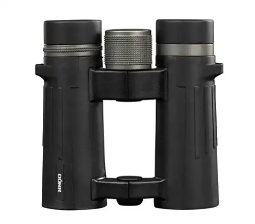 Dörr-Fernglas Dörr DÖRR Milan XP 10×34 Dachkantfernglas schwarz