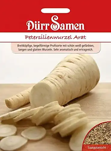 Petersilienwurzel-Samen Dürr-Samen Dürr Samen 0962
