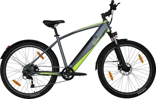E-Bike 29 Zoll günstig