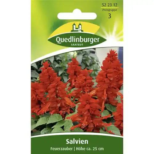 Feuersalbei Quedlinburger Salvie, Feuerzauber