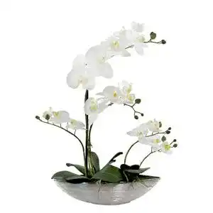 Künstliche Orchidee DARO DEKO glänzend und weiße Blüten 53cm