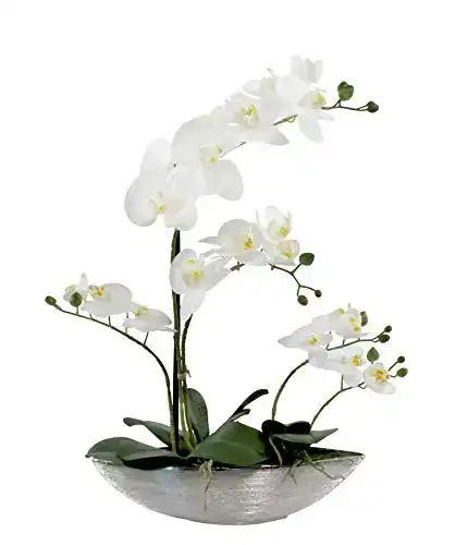 Künstliche Orchidee DARO DEKO glänzend und weiße Blüten 53cm