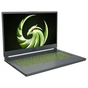 High-End-Gaming-Laptop MSI Delta 15 AMD Advantage Edition