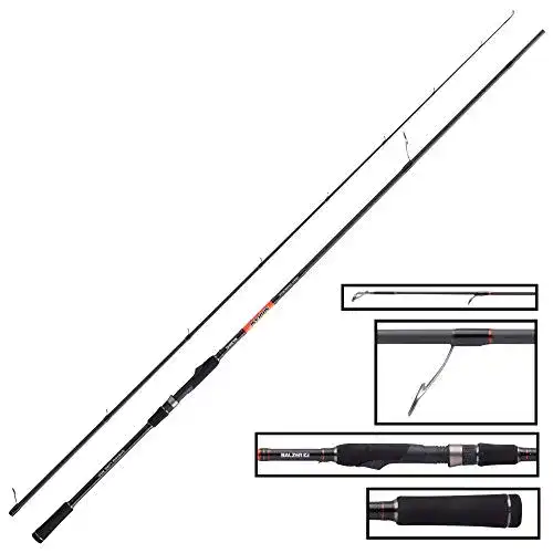 Balzer-Angelruten Balzer Shirasu Heavy Crank Shad 2,74m 28-77g