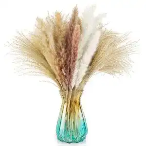 Pampasgras Fadun Getrocknet, 50 Pcs Deko Trockenblumen