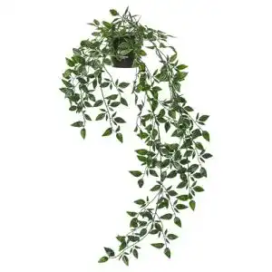 Hängepflanze IKEA Fejka Topfpflanze, künstlich, Drinnen/draußen