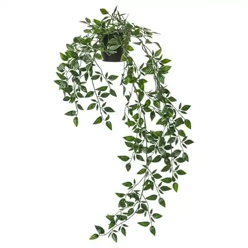 Hängepflanze IKEA Fejka Topfpflanze, künstlich, Drinnen/draußen
