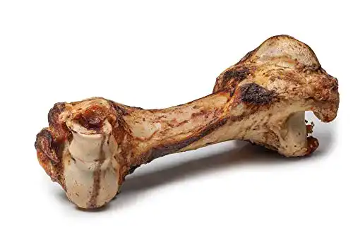 Die beste Kauknochen Hund DIBO Mamut-Knochen, ca. 40cm 2026 Test Bestseller Kauknochen Hund DIBO Mamut-Knochen, ca. 40cm