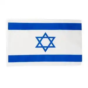 Israel-Flagge Flaggenfritze Fahne Flagge Israel 30 x45 cm