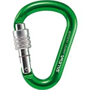 Karabinerhaken Salewa HMS Screw G2 Carabiner, Lime Green, Uni
