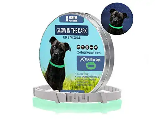 Die beste Zeckenhalsband für Hunde Generisch und Katzen | Leuchtend 2026 Test Bestseller Zeckenhalsband für Hunde Generisch und Katzen | Leuchtend