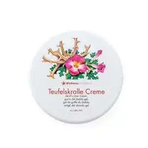 Teufelskralle-Salbe WellnessInPerfektion Premium-Salbe, 200ml