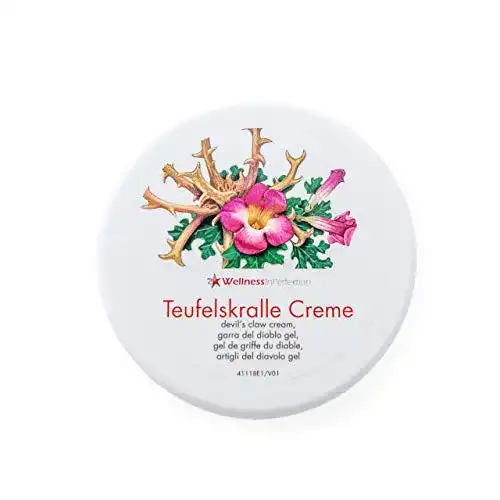 Teufelskralle-Salbe WellnessInPerfektion Premium-Salbe, 200ml