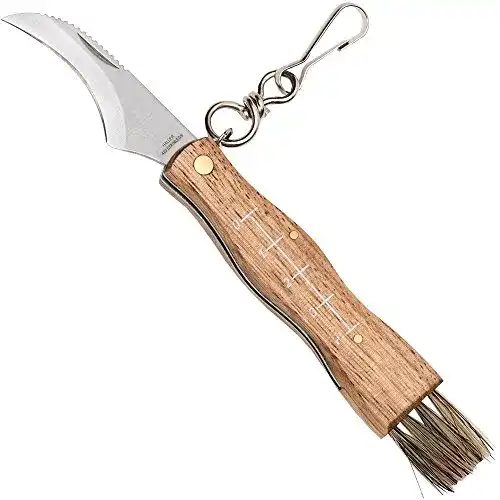 Die beste Pilzmesser Haller 83284 mit Zebraholzgriff Messer, Silber 2026 Test Bestseller Pilzmesser Haller 83284 mit Zebraholzgriff Messer, Silber