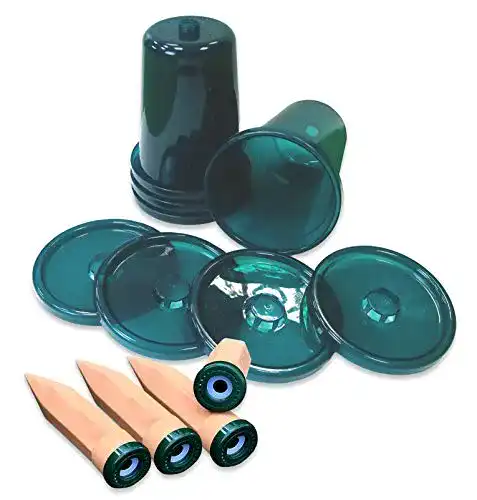 Tonkegel-Bewässerung Bio Green Becheraufsatz Hydro Cup