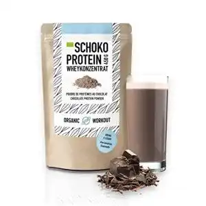 Bio-Proteinpulver Organic Workout BIO SCHOKO, 450 g