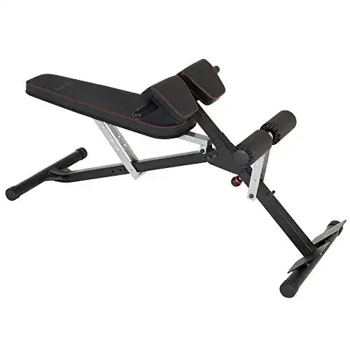 Rückentrainer Fitness Reality X-Class Light Commercial