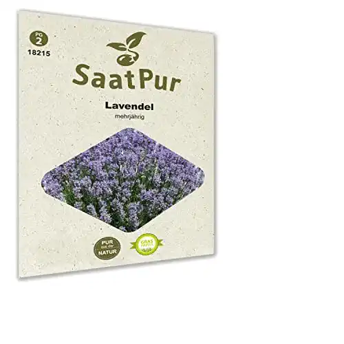 Lavendel-Samen SaatPur Lavendel Samen, für ca. 100 Pflanzen