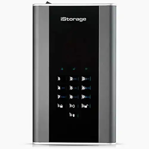 Externe Festplatte (12 TB) iStorage IS-DT2-256-12000-C-G 12TB
