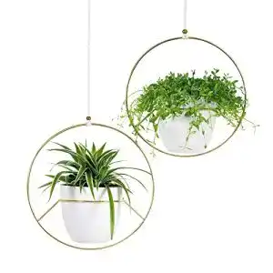 Blumenampel Gadgy Hängender Blumentopf Metall 2 Stück Gold