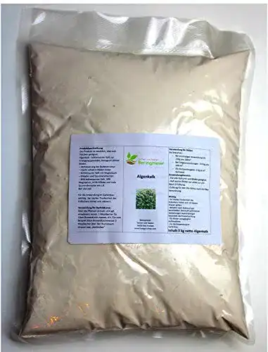 Algenkalk Beringmeier Samen und Saaten Meeres (1 kg)