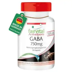 Gaba-Kapseln fairvital GABA Kapseln 750mg VEGAN 90 Kapseln