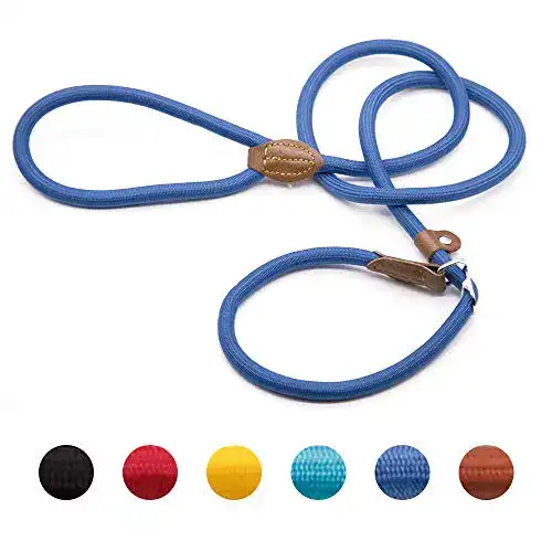 Retrieverleine Supet Hundeleine mit Zugstopp Moxonleine