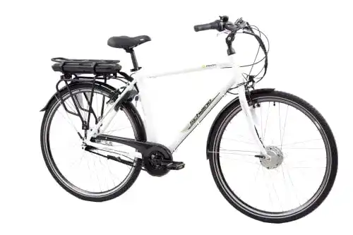 Fahrrad mit Nabenschaltung F.lli Schiano E-Moon 28 Zoll, City