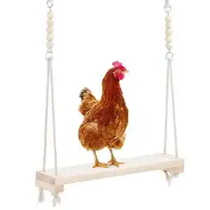 Hühnerschaukel Pssopp hölzernes Huhn hängend
