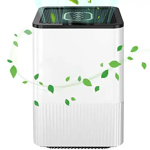 Ionisator HEPA-Filter Laluztop Luftreiniger Allergie mit Ionisator