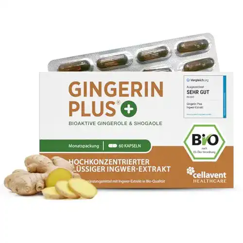 Ingwer-Kapseln Phytholistic Bio Ingwer Kapseln, 60 Stück