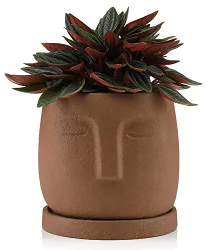 Blumentöpfe Torsteyg Blumentopf Kopf mit Untersetzer, 10cm