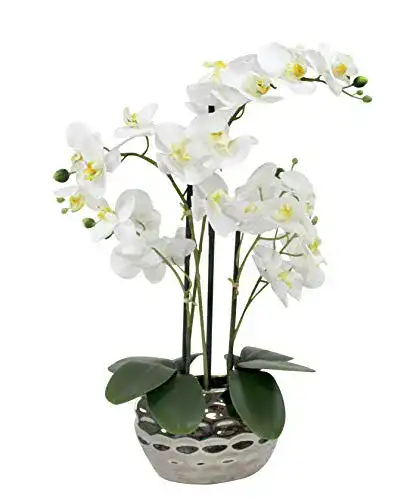 Die beste Künstliche Orchidee Decoline Kunstpflanze Orchidee XL 2026 Test Bestseller Künstliche Orchidee Decoline Kunstpflanze Orchidee XL