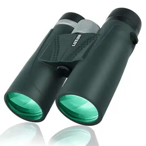 Fernglas 12×42 LUXUN, HD Professionelles Kompaktes Fernglas