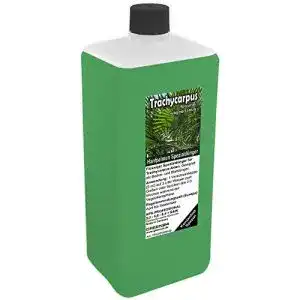 Palmendünger GREEN24 Trachycarpus Dünger XL 1 Liter